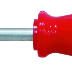 ProScr SCR02561 4x100 mm Yıldız Uçlu Tornavida
