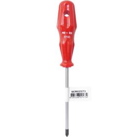 ProScr SCR02573 5x100 mm Yıldız Tornavida