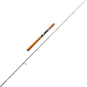 Protackle Kaminan 1.80 M 30-80 GR 2 Parça Spin Kamış