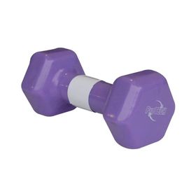 Protech AGRDMBVNL004 4 kg Dipping Dambıl