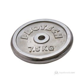 Protech AGRFLSYRK013 7.5 kg Kromajlı Flanş