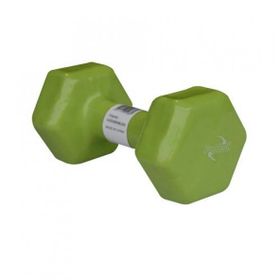 Protech Vinyl Yeşil 6 Kg Dipping Dambıl