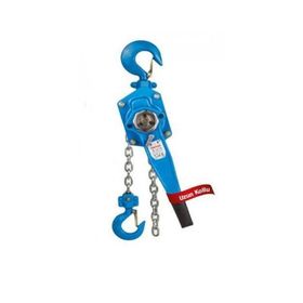 Proter 1.5 Ton 1.5 m Zincirli Hubzug