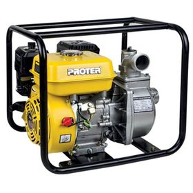Proter PGS 200 Su Motoru