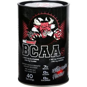Protouch Nutrition BigBang BCAA+Glutamine 400 gr Amino Asit