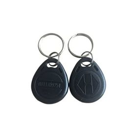 Proximity 125 Khz Manyetik RFID 100'lü Anahtarlık