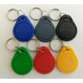 Proximity 125 Khz Manyetik RFID 100'lü Anahtarlık