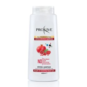 Proxive Tuzsuz Parabensiz Silikonsuz Boyasız Bitkisel 650 ml Renk Koruyucu Şampuan