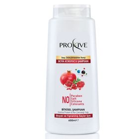 Proxive Tuzsuz Parabensiz Silikonsuz Boyasız Bitkisel Boya Koruyucu 650 ml Şampuan