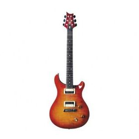 PRS SE Custom 22 Elektro Gitar