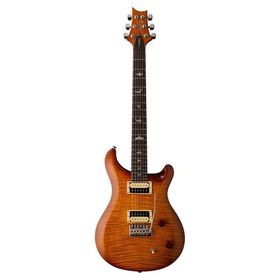 PRS SE Custom 22 Elektro Gitar