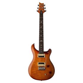 PRS SE Custom 22 Elektro Gitar