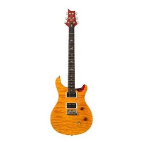 PRS SE Custom 24 Elektro Gitar