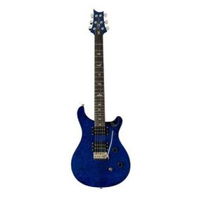 PRS SE Custom 24 Elektro Gitar