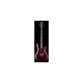 PRS SE Custom 24 Elektro Gitar