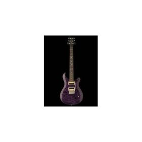 PRS SE Custom 24 Elektro Gitar