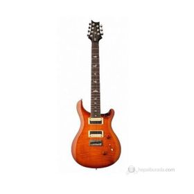 PRS SE Custom 24 Elektro Gitar