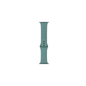 PSR aksesuar Watch 7 41 mm Cactus Silikon Strap Kayış Kordon