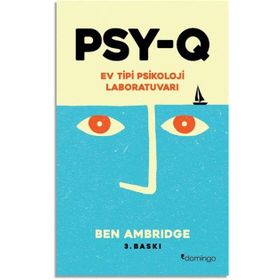 PSY-Q - Ben Ambridge
