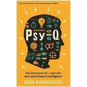 PSY-Q - Ben Ambridge