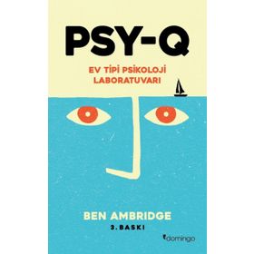 PSY-Q - Ben Ambridge