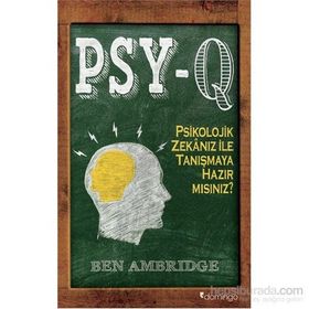 PSY-Q - Ben Ambridge
