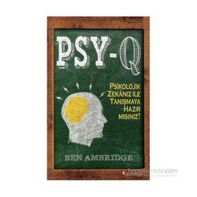 PSY-Q - Ben Ambridge