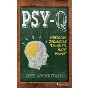 PSY-Q: Ev Tipi Psikoloji Laboratuvarı