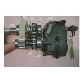 Pubert Elite Pro 55 C2 No-3 Vites Ayrıcı Dişli