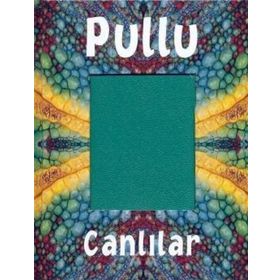 PULLU CANLILAR - CLINT TWIST