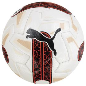 Puma 08419201 Beyaz Futbol Topu