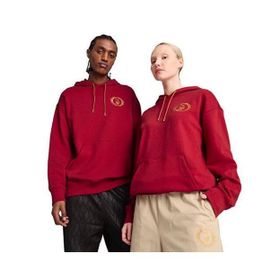 Puma 630093-13 Kırmızı X Harry Potter Hoodie Erkek Sweatshirt