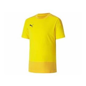 Puma 65648207 Teamgoal 23 Erkek Sarı Futbol Tişört