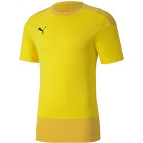 Puma 65648207 Teamgoal 23 Erkek Sarı Futbol Tişört