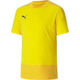 Puma 65648207 Teamgoal 23 Erkek Sarı Futbol Tişört
