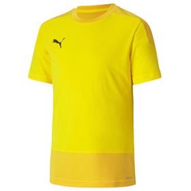 Puma 65648207 Teamgoal 23 Erkek Sarı Futbol Tişört
