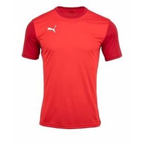 Puma 65648401 Team Goal 23 Sideline Tee Bisiklet Yaka Kısa Kol Tshirt