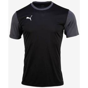 Puma 65648403 Teamgoal 23 Sideline Tee Siyah Erkek T-shirt