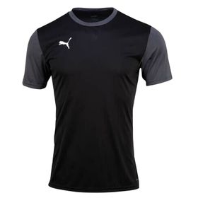 Puma 65648403 Teamgoal 23 Sideline Tee Siyah Erkek T-shirt