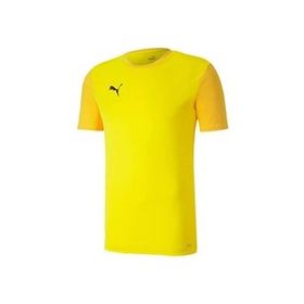Puma 65648407 Teamgoal 23 Sideline Tee Sarı Futbol Antrenman Erkek T-Shirt