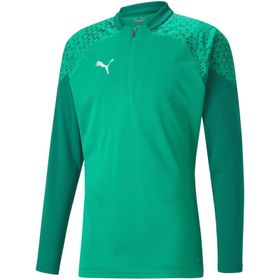 Puma 65798205 Yeşil Teamcup Training 1/4 Zip Top Erkek Futbol Uzun Kollu Antrenman Üstü