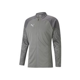 Puma 65798313 Gri Teamcup Training Jacket Erkek Futbol Antrenman Ceketi