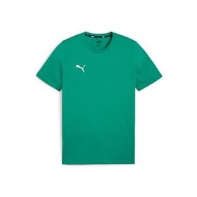 Puma 65861505 Yeşil Teamgoal Casuals TEE Futbol Antrenman Erkek T-Shirt