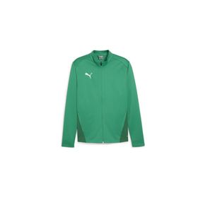 Puma 65863305 Teamgoal Training Jacket Yeşil Erkek Futbol Kamp Eşofman Üstü