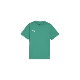 Puma 65863605 Yeşil Teamgoal Jersey Futbol Antrenman Erkek T-Shirt