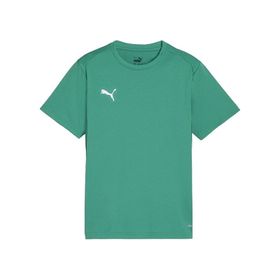 Puma 65863605 Yeşil Teamgoal Jersey Futbol Antrenman Erkek T-Shirt