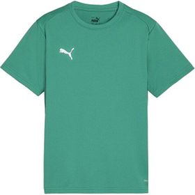 Puma 65863605 Yeşil Teamgoal Jersey Futbol Antrenman Erkek T-Shirt