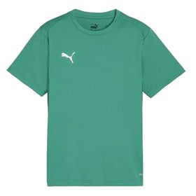 Puma 65863605 Yeşil Teamgoal Jersey Futbol Antrenman Erkek T-Shirt