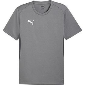 Puma 65863613 Beyaz Teamgoal Jersey Erkek Futbol Antrenman Tişörtü