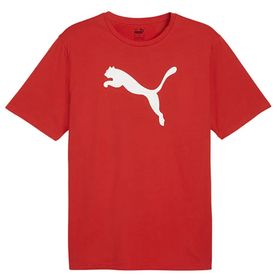 Puma 65870501 Kırmızı Teamrise Logo Jersey Cotton Günlük Erkek T-Shirt